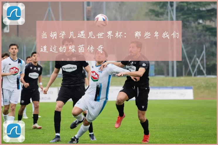 当胡学凡遇见世界杯:那些年我们追过的绿茵传奇