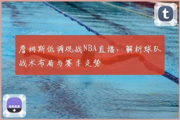 詹姆斯低调观战NBA直播，解析球队战术布局与赛季走势