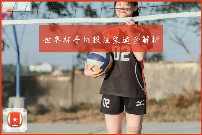 世界杯手机投注渠道全解析