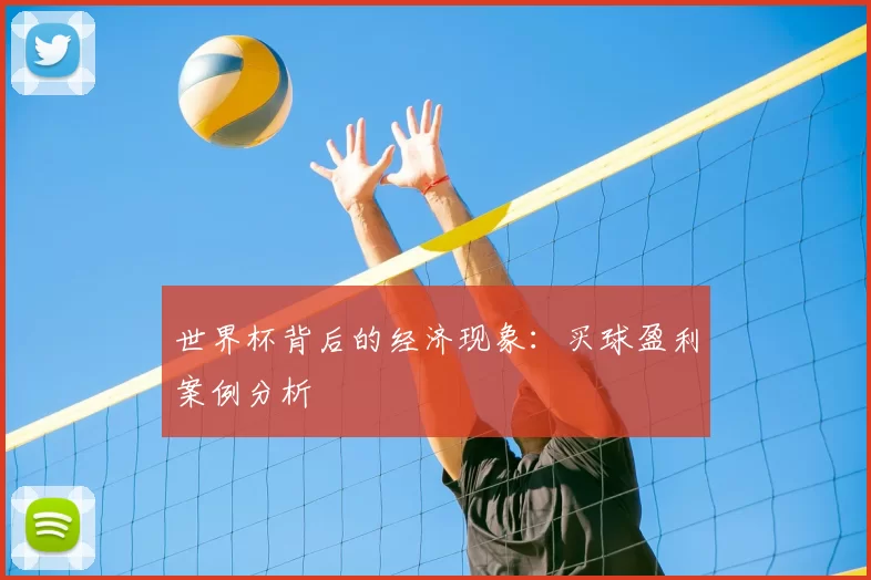 世界杯背后的经济现象：买球盈利案例分析