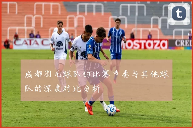 成都羽毛球队的比赛节奏与其他球队的深度对比分析