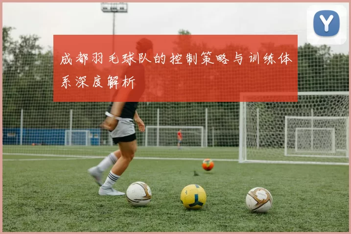 成都羽毛球队的控制策略与训练体系深度解析