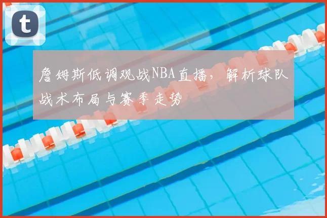 詹姆斯低调观战NBA直播，解析球队战术布局与赛季走势