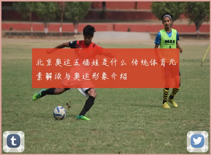 北京奥运五福娃是什么 传统体育元素解读与奥运形象介绍