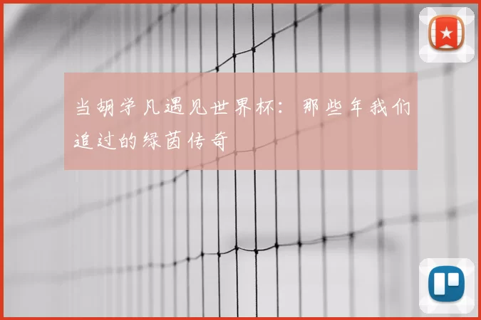 当胡学凡遇见世界杯:那些年我们追过的绿茵传奇