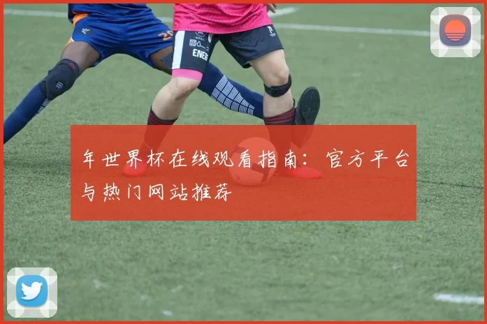 年世界杯在线观看指南：官方平台与热门网站推荐
