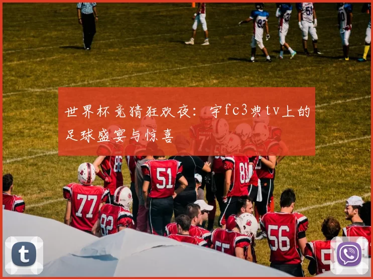 世界杯竞猜狂欢夜：宇fc3典tv上的足球盛宴与惊喜